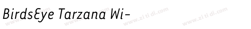 BirdsEye Tarzana Wi字体转换